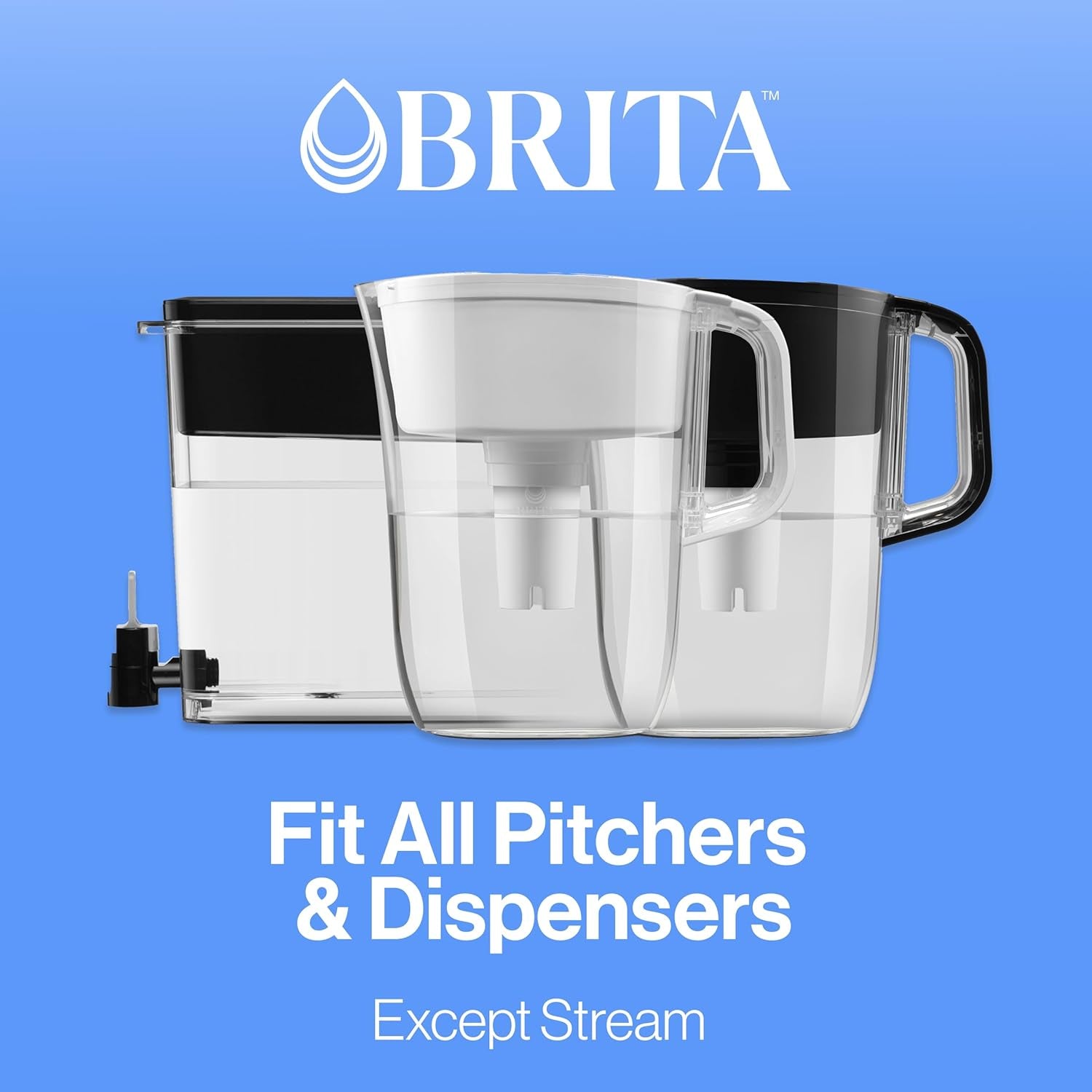 Standard Water Filter for Pitchers and Dispensers - Reduces Copper, Cadmium, and Mercury Impurities, Lasts Up to Two Months or 40 Gallons, Includes 6 Filters