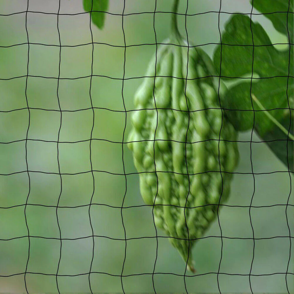 33FT Bird Protection Netting for Ponds, Trees, Crops, and Garden Plants