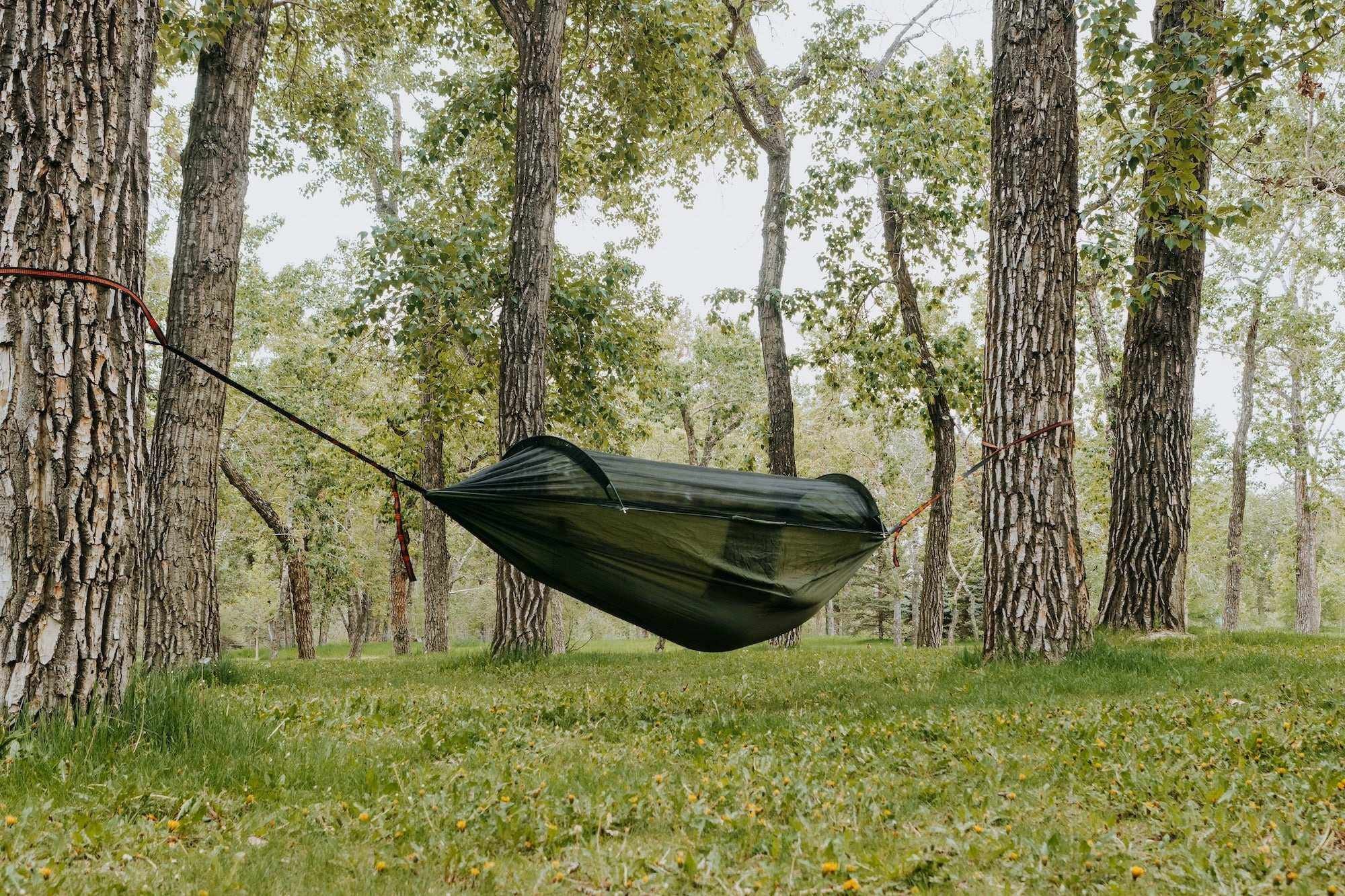 Portable Camping Hammock Featuring Integrated Mosquito Net